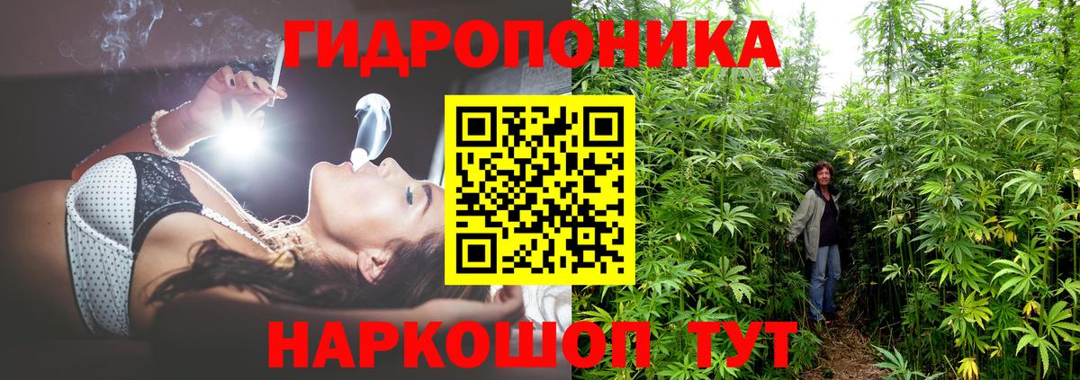 Бошки марихуана White Widow  Вход с VPN  МАРИХУАНА гибрид  Марихуана Ganja  Пыть-Ях 